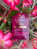 Beauty Marine Collagen 10000, Collagen Nhật Bản Chính Hãng 1